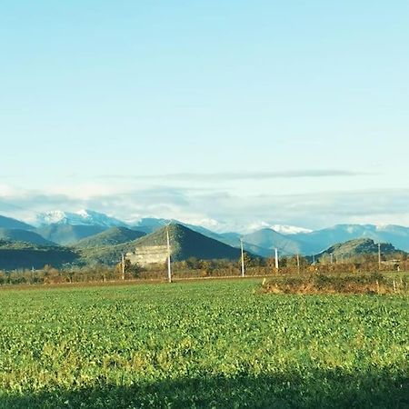 Appartement T3 Au Pied Des Pyrenees à Pointis-de-Riviere Extérieur photo