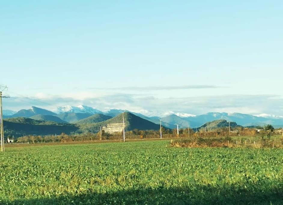 Appartement T3 Au Pied Des Pyrenees à Pointis-de-Riviere Extérieur photo